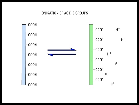 Ionization of surface groups