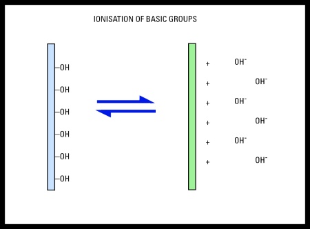 Ionization of basic groups