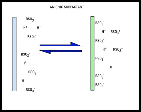 Anionic Surfactant | Absorption of Charges Species