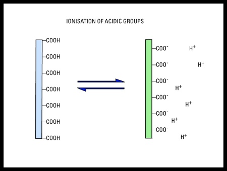 Ionization of Silver Acidic Groups - Surface Groups
