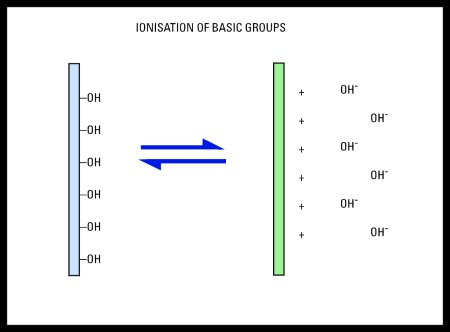 Ionization of Silver Basic Groups - Surface Groups