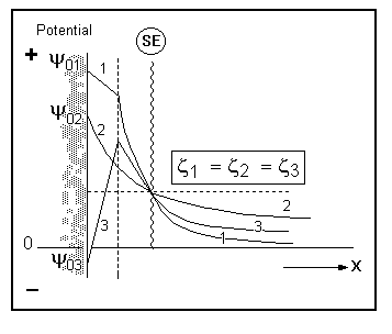 Zeta Potential | Differences in the Chemical Constitution