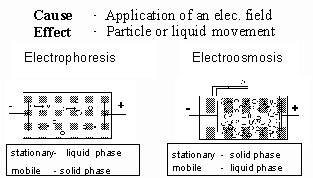 Zeta Potential | Electrophoresis | Electroosmosis